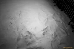 Angels caught on security cam