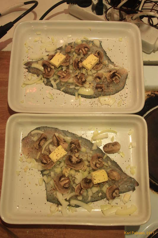 Rauðspretta for dinner! (European plaice)