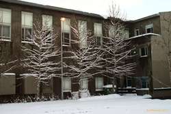 Snowy afternoon in a back alley
