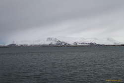 Light and birds on the bay