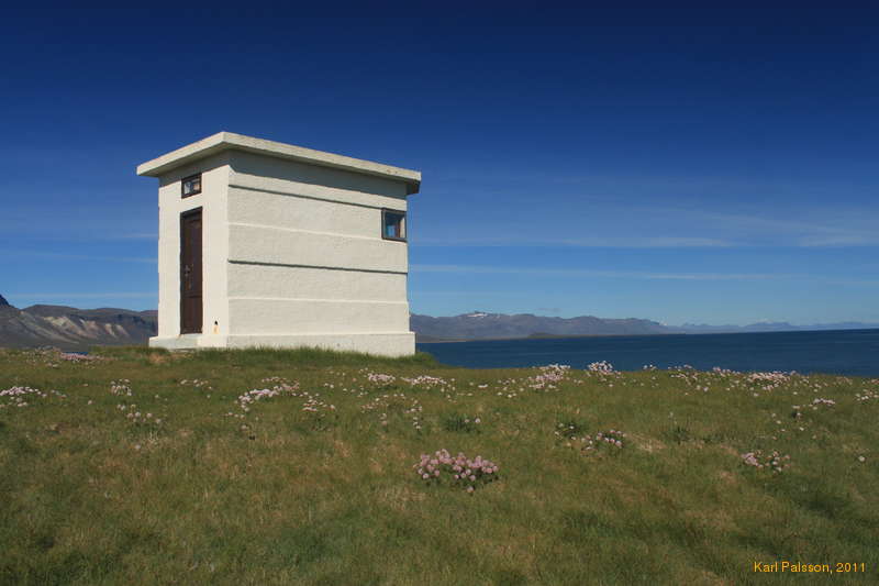 Lighthouse and flowers near Arnarstapi