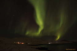 Aurora in Hvalfjörður