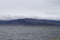 Rescue practice on the bay