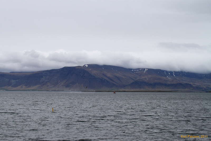 Rescue practice on the bay