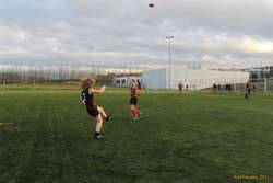 Viðar kicking