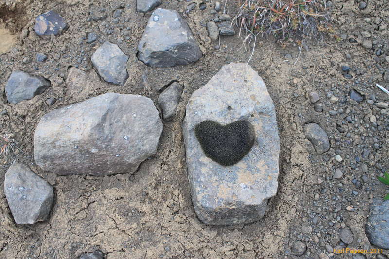 For a special someone