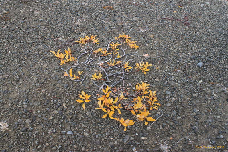 Autumn in the highlands