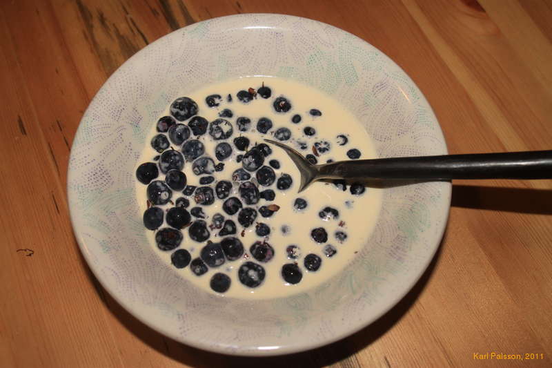 Blueberries and cream