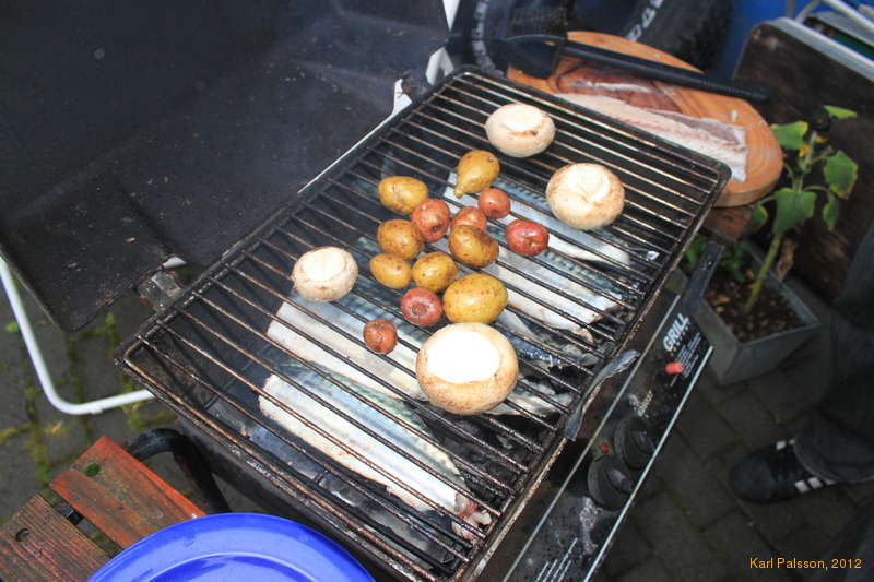 Mackeril on the grill, with friends