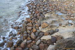 Granite and limestone at Gracetown