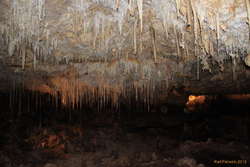 Straws Straws and Stras