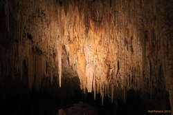 Helictites everywhere