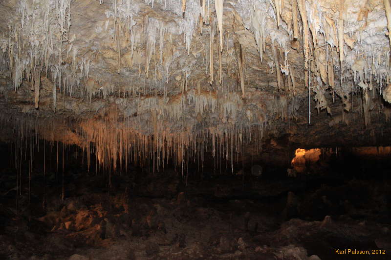 Straws Straws and Stras