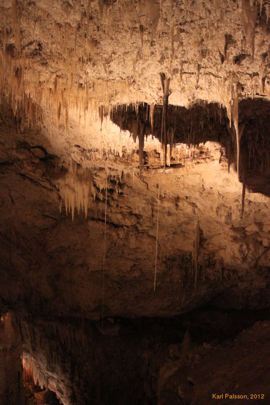 Monster straws (~5m)