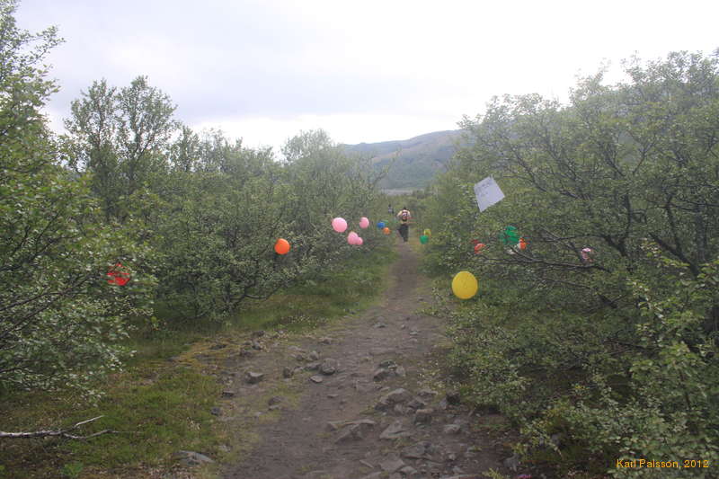 Balloons! Kata laid out a welcome for us!