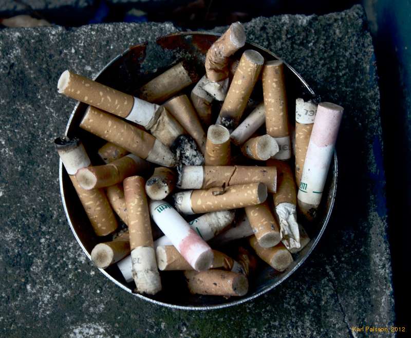 Cold light of day II