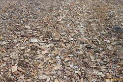 Rhyolite makes good flakes