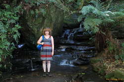 Kata in the blue mountains