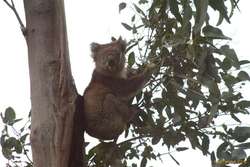 I'll face whatever damn way I feel