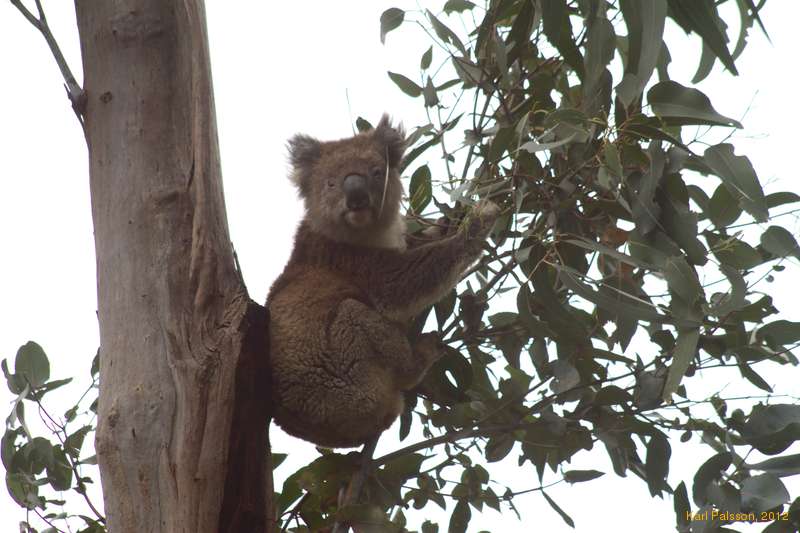 I'll face whatever damn way I feel