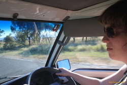 Kata keeps her eyes on the road, her hands upon the wheel