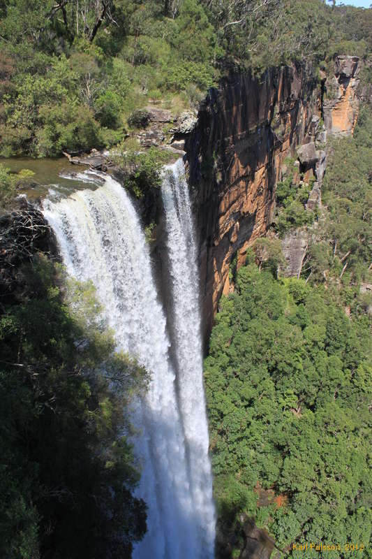 Fitzroy Falls