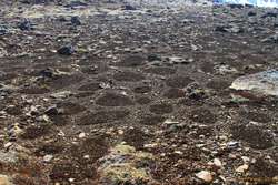 Interesting melt patterns