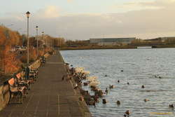 Nice afternoon by the pond