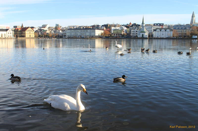 Tjörnið, partially frozen