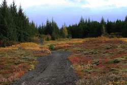 Riding in Heiðmörk