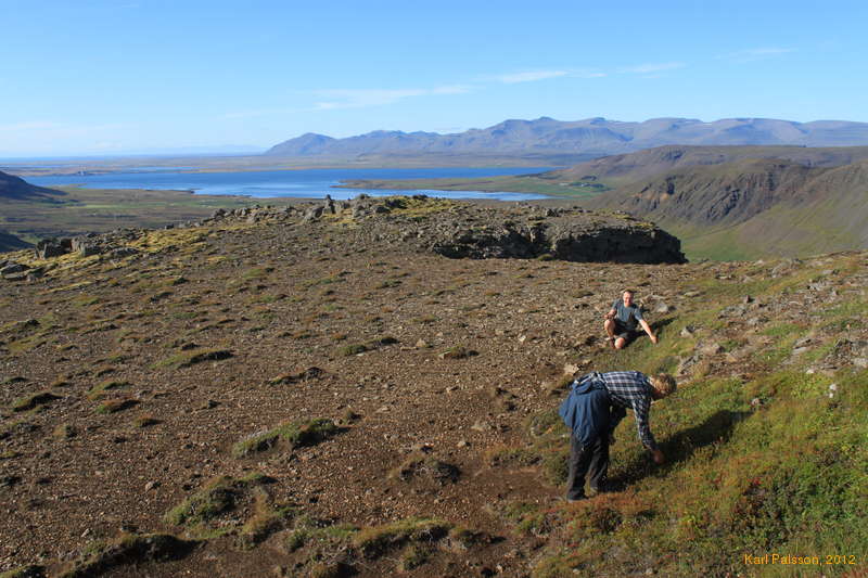 Bjöggi and Logi stop for berry picking