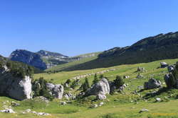 By the Vallon de Marcieu