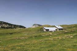 Relief! Water stop at Chalet de l'Alpe