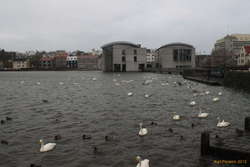 Can't always be sunny