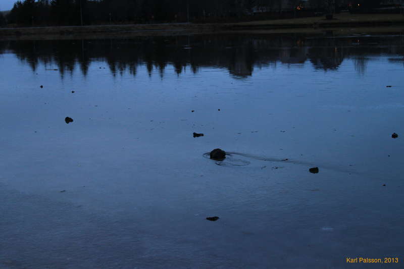 Almost sinking, but not quite