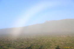 Fogbows!