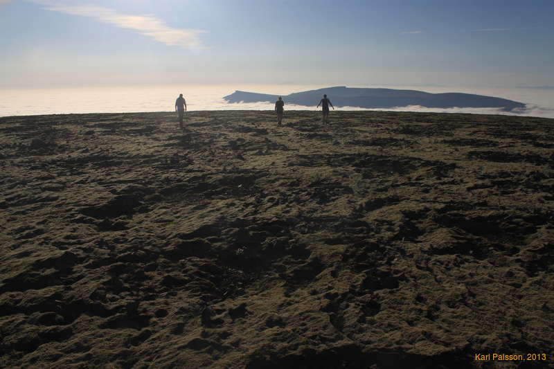 Sailing the seas of moss and cloud