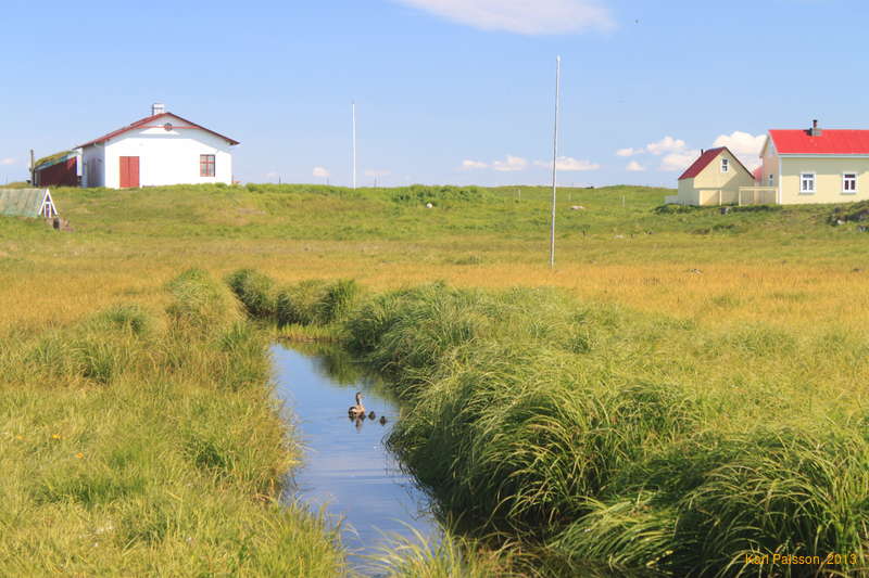 Big enough to swim is big enough