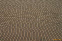 Patterns in the sand