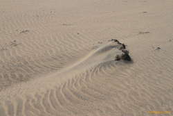 Patterns in the sand