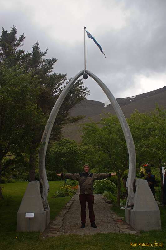 Me in the Fin Whale jawbone arch at Skrúður