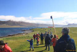 The hilarity of tourism through kría fields