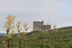 The Rhubarb Castle - Ísafjörður