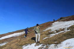 Sunshine and lollipops