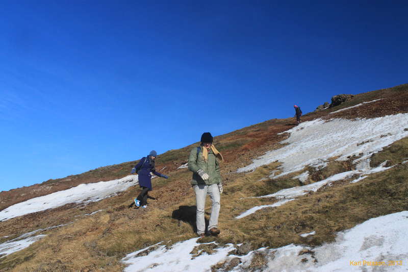 Sunshine and lollipops