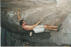 Pommy at Medlow Bath?