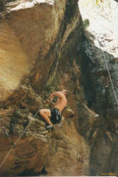 Russell, somewhere in the blueies