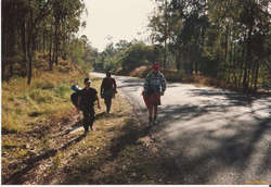 hiking somewhere along near Beerwah?