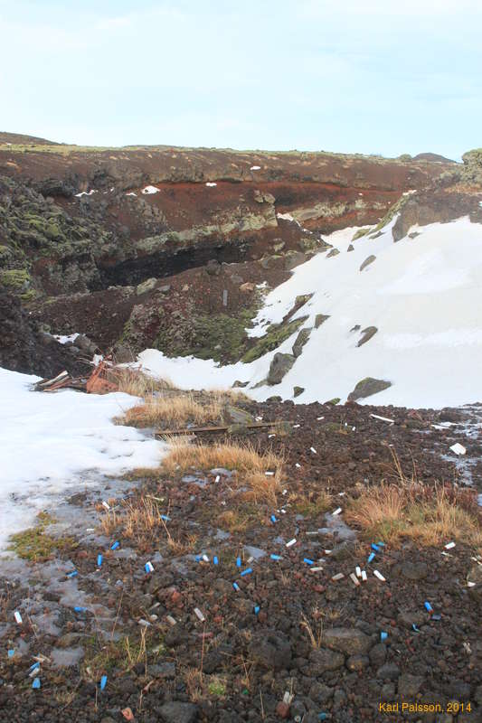 Shotgun casings everywhere