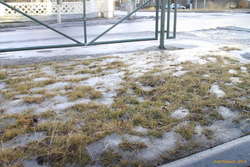 That time of year again